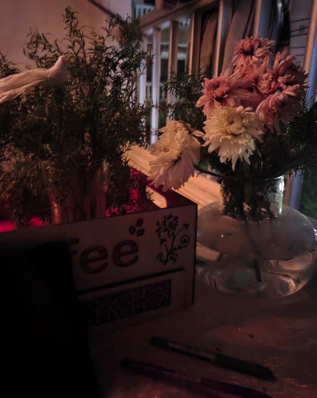 ������� ������������: ������ ��-���������, ���������� ������ � ������� ������ ���