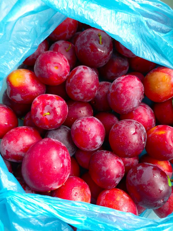 ������ ����� ������ ������� �������� � ������ �����