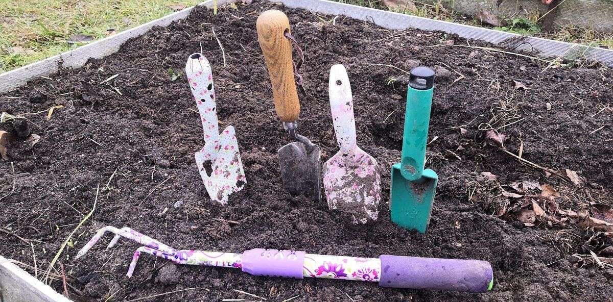 ��� ������� ��������� ����� ��� ����: ������ �� ���������