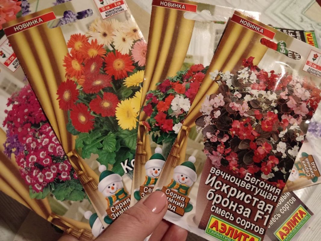 �������� ������� ����: ����� ����� ����� ����� ������ � �������