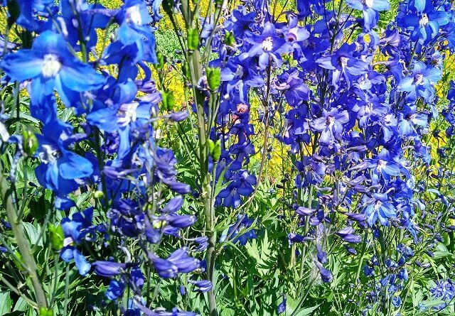 ������ ������� �������������: ��� ��������� �������� ���������