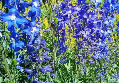 ������ ������� �������������: ��� ��������� �������� ���������