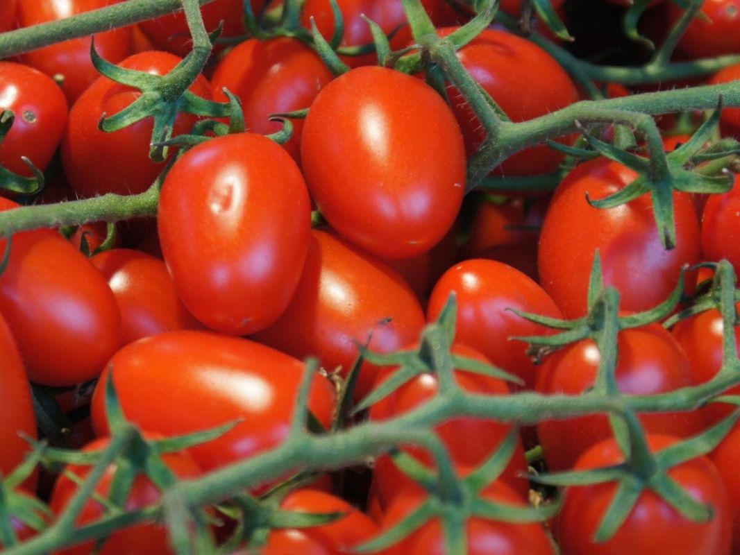 ������: ����� ��� ������� � ������� �������