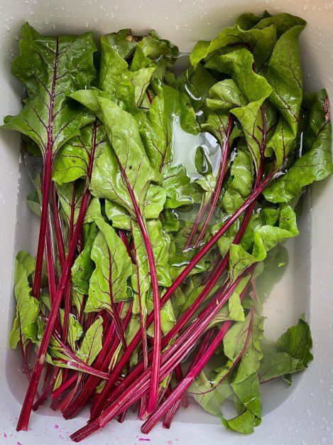 Советы по альтернативному использованию свёклы: от ботвы до корешков