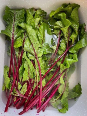 Советы по альтернативному использованию свёклы: от ботвы до корешков