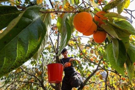 �����: ������� ��������� ����� � ������� ��� ��������