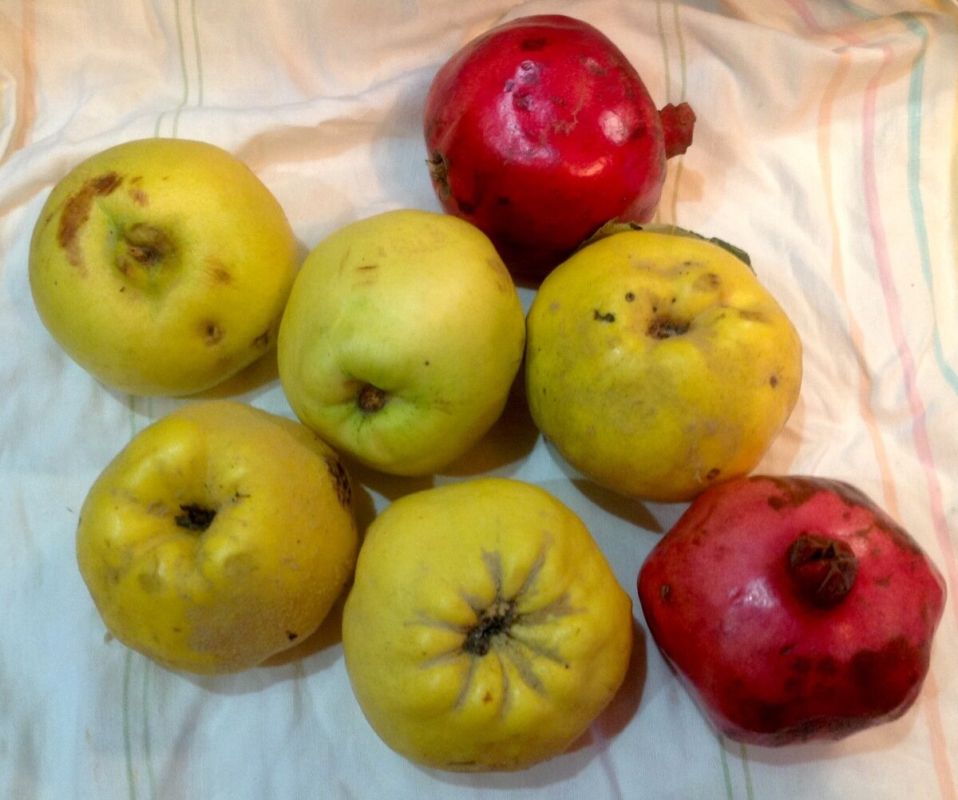 ������� �� ���� � ��������: ����� ���� ��������