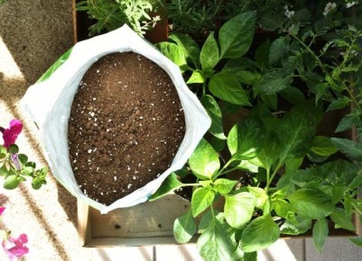 ����������� �������� � ��������� ������: ����� ��������� � �����������