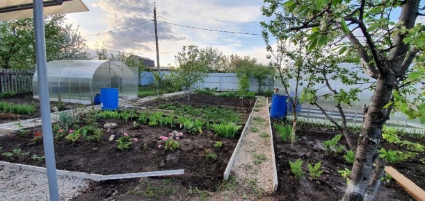 Как осушить заболоченный участок: эффективные решения для дачников