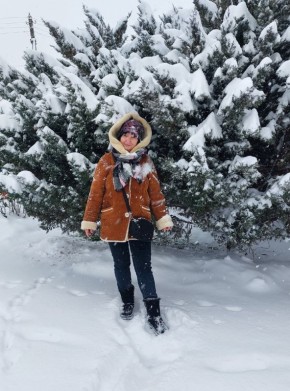 ���������� �����: ������ ���� � �������� � ������������ ���������