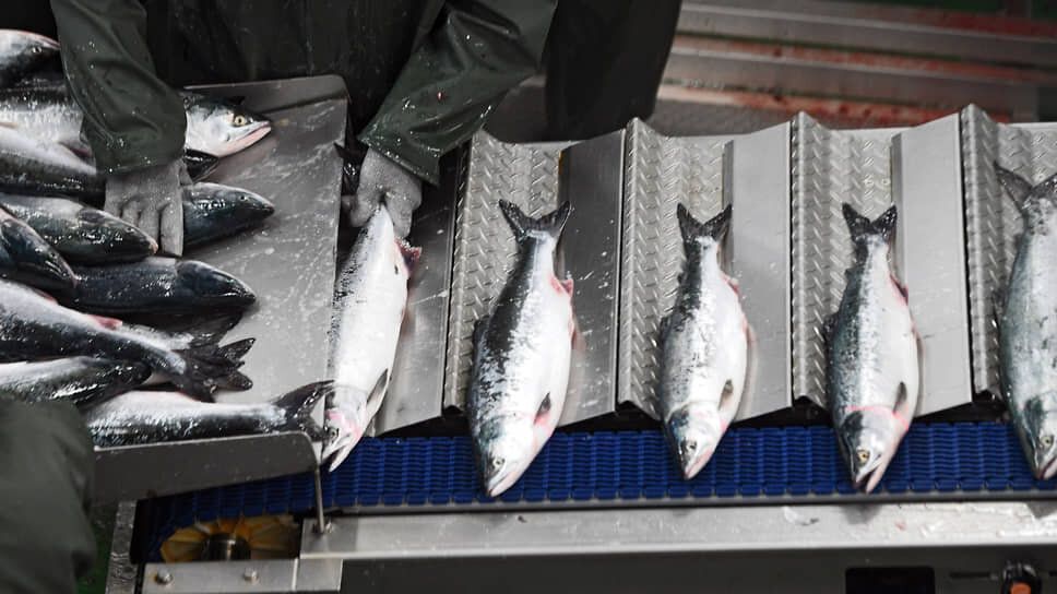 ���� �� ������� ����: ��� ����� ������?