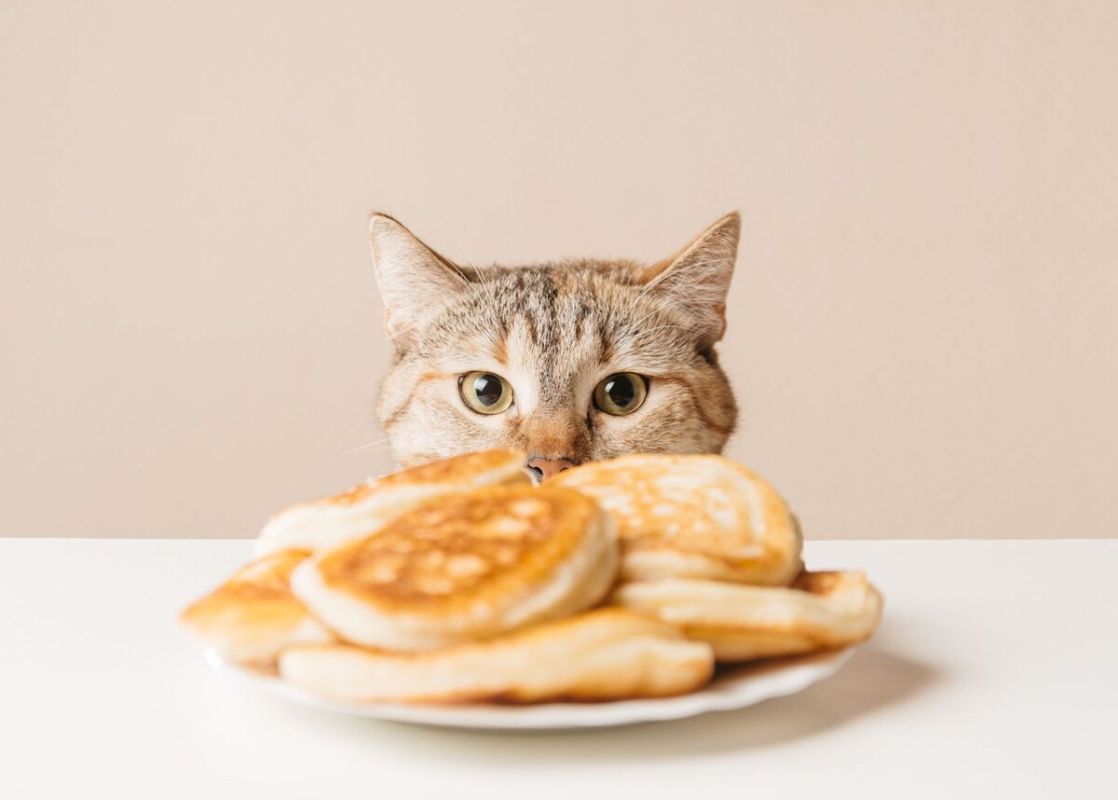 ��� �������� ��������� ��� ��� ���� ���������: ��������� � �����