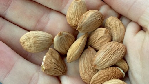 ��� �������������� ������ � �� ������������ �� ��������: 9 �������� ���������