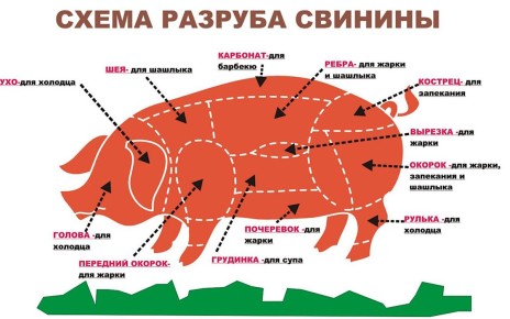 Как правильно использовать разные части свиного мяса в кулинарии