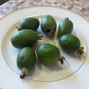 Фейхоа: как выбрать и использовать этот экзотический фрукт