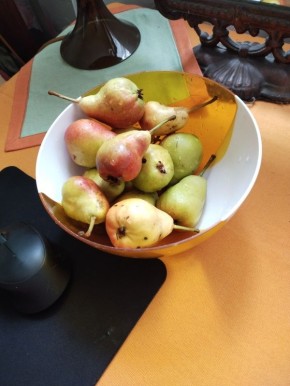 ������� ������ �����: �����, ������� ������