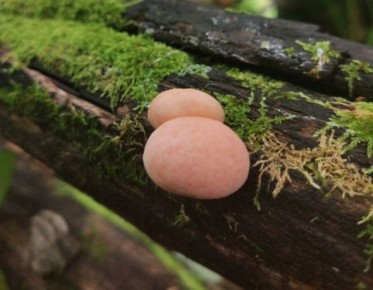 ����� ���� � �������� ��������: ��������� �� ��� ���������?