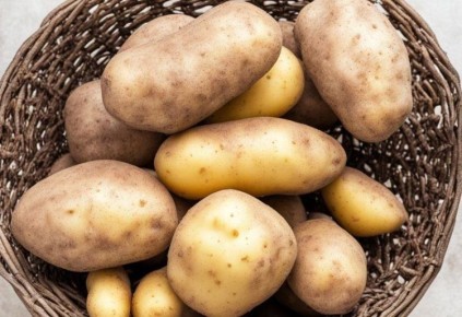 ��� ������� ��������� ��������: ������ ���������