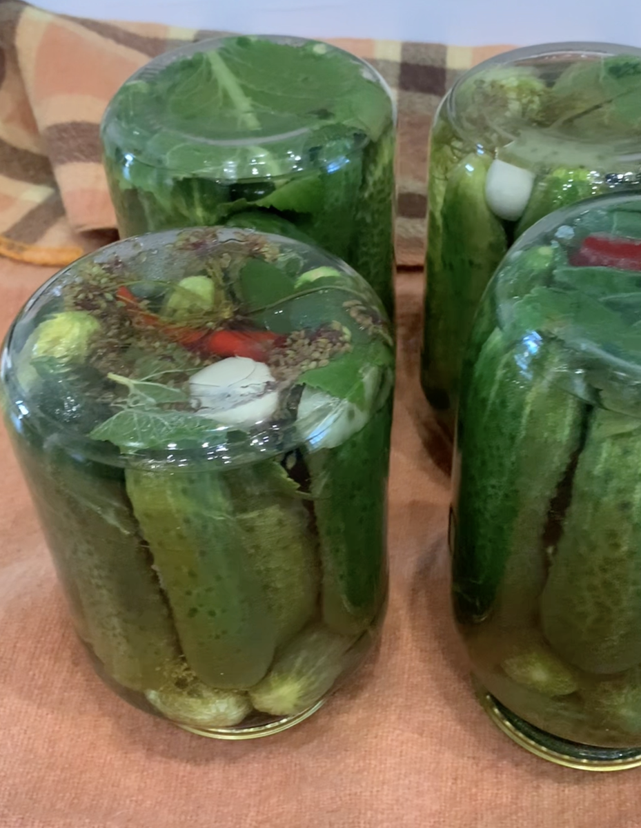 Как избежать ошибок при консервировании огурцов: советы на каждый случай