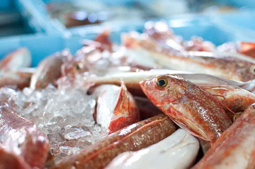 ��� ������� ���� ����� ��������������: ������� � ��������� ������ ���������