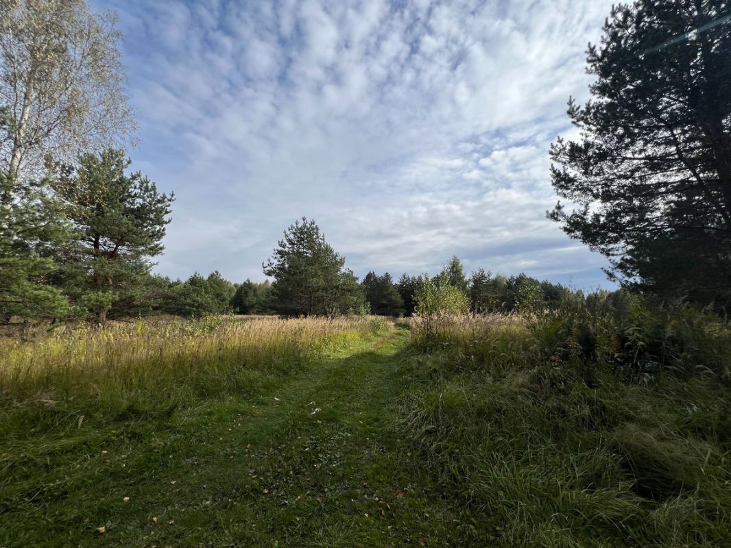 ������� ���������: ��� ������ � ������ �������