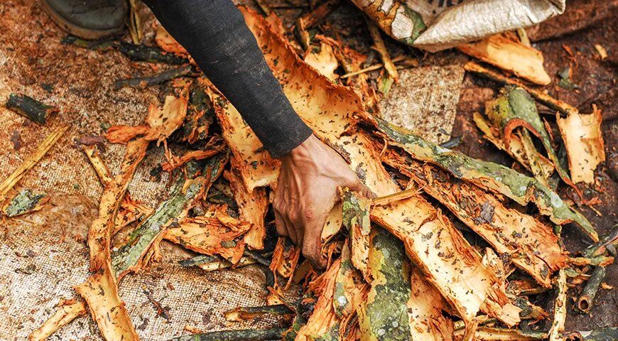 Тоник: от медицинского средства до любимого коктейля