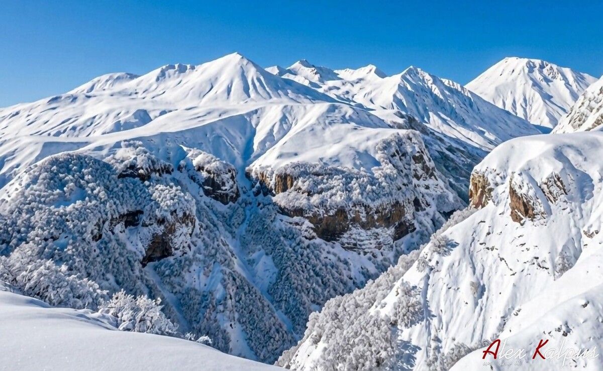 ����������� � ������ ���������: ��� ���������� ���������� ��������� �����������