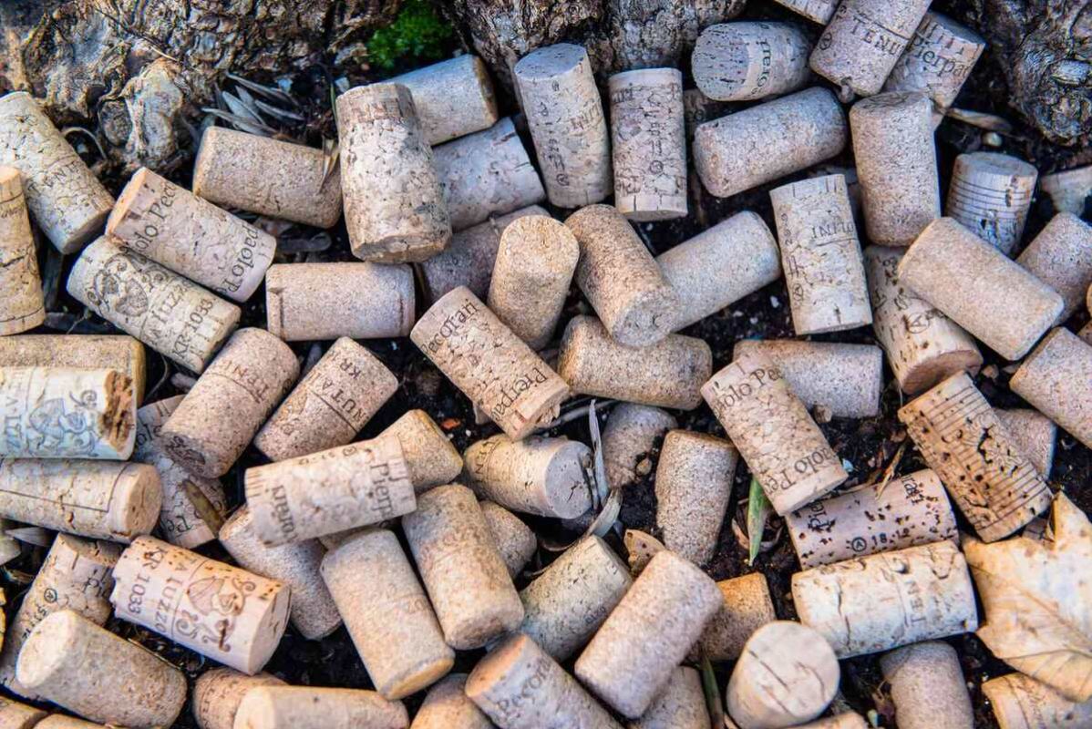 ��� ������ ������ ����� ����������� ��� ���