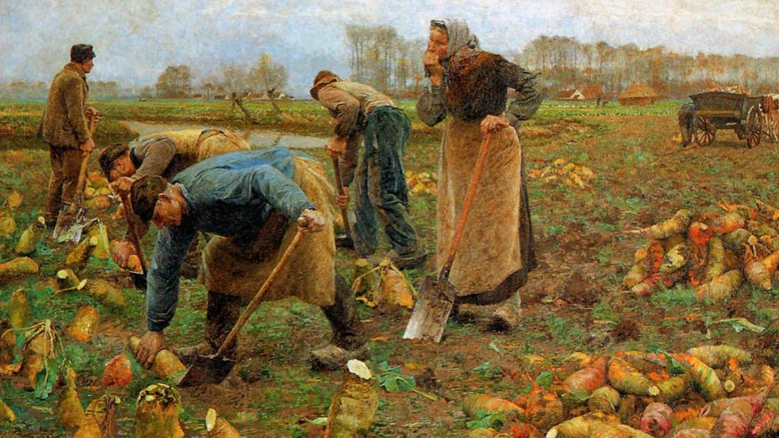 Неизвестные овощи на столе наших предков: что ели до картошки