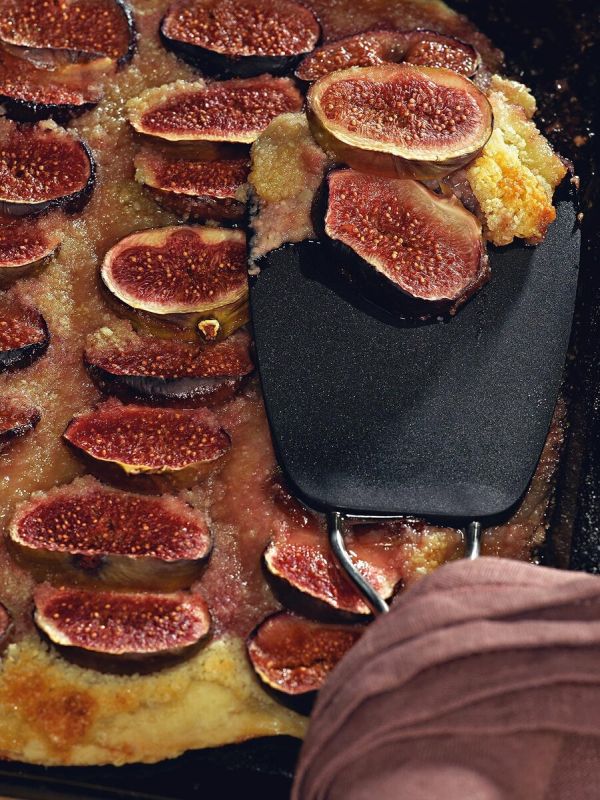 ������ ����� � �������