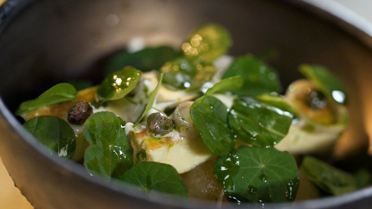 ������ �����: �������� � �������� �� ����� �������