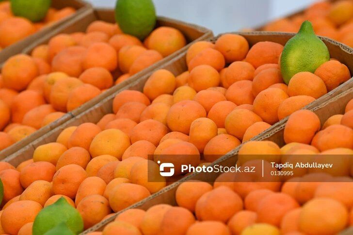 ���� �� ���������� � ������������: ������ ��� ���������?