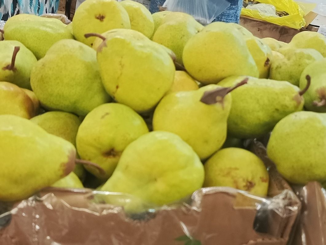 ��������: ������ ���� �� ������ ����� � ������