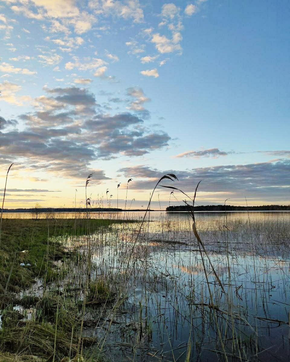 Рыбная уха на костре: секреты идеального вкуса