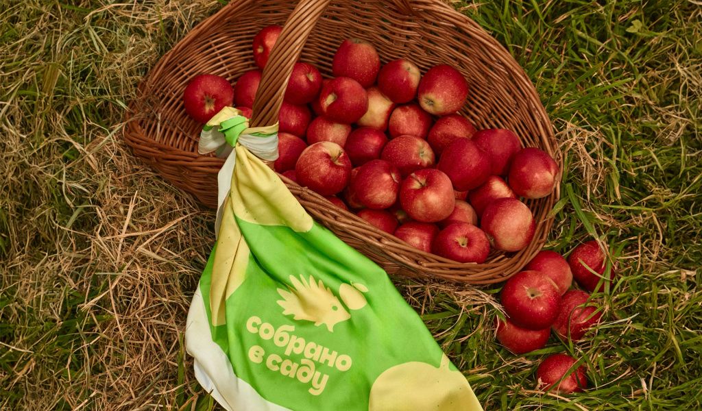 �������� ������: ��� ����� ���� �������� �������� � �����������