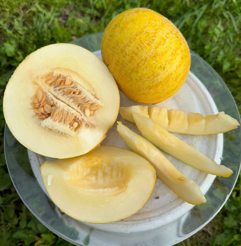 ���� ������ ������: ��������������� ������������ � ������������ �������