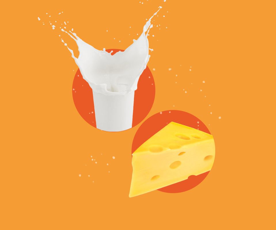 �������: ����� �� ������������ �� ��������� ������?