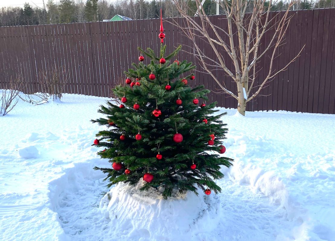 ��� ������������� � ����������: ������� ���������� ����������� �����