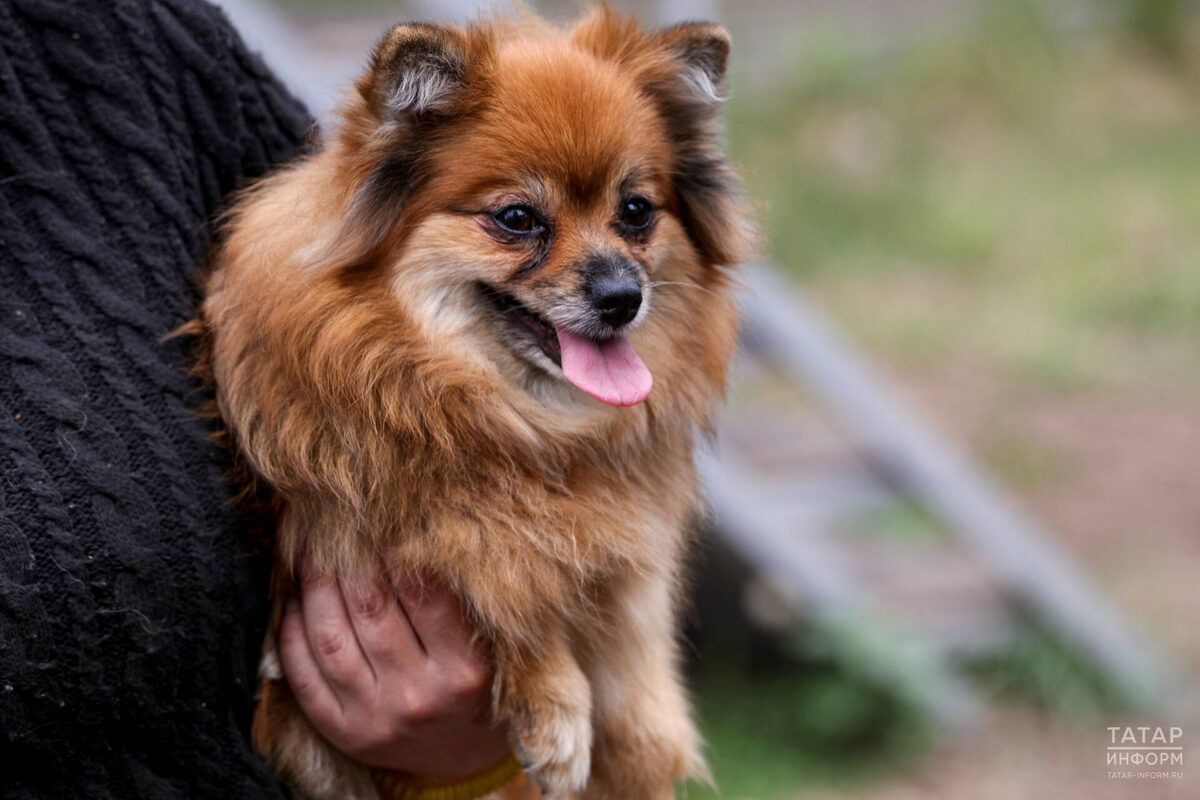 ��� ����� � ������� ������ �� ��������� ����� �� ����