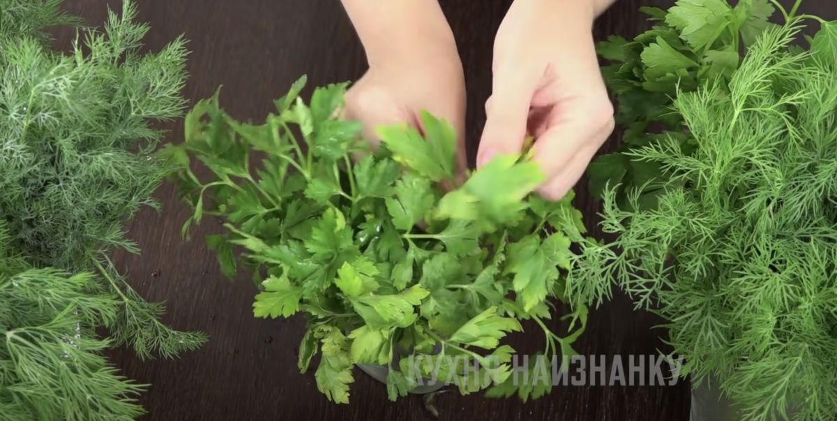 ��� ��������� ������ ������: ������� �������� ���������