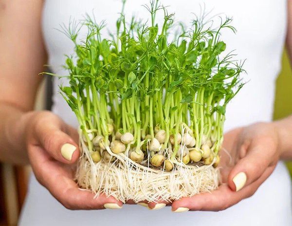 ��� ��������� ����������� ������ � ������� ������� ������ � ���