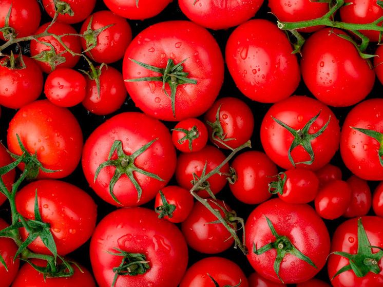 ���� �� �������� �������� ������� � �������� �������: ��� ����� ���� ������?