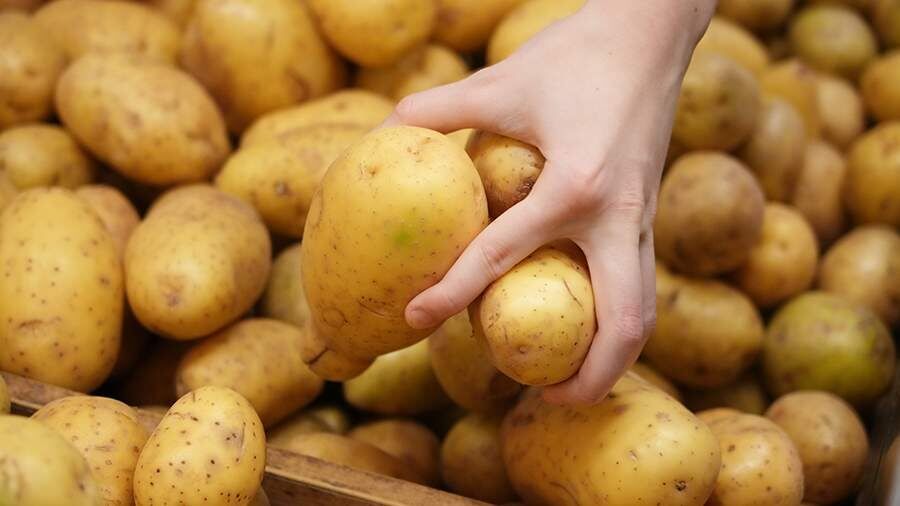 ������ ���������: �������� ������� ��������� �������������