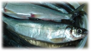 ��� �������� �����: ������� � �������