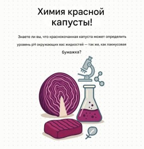 Краснокачанная капуста: естественный индикатор pH вокруг нас