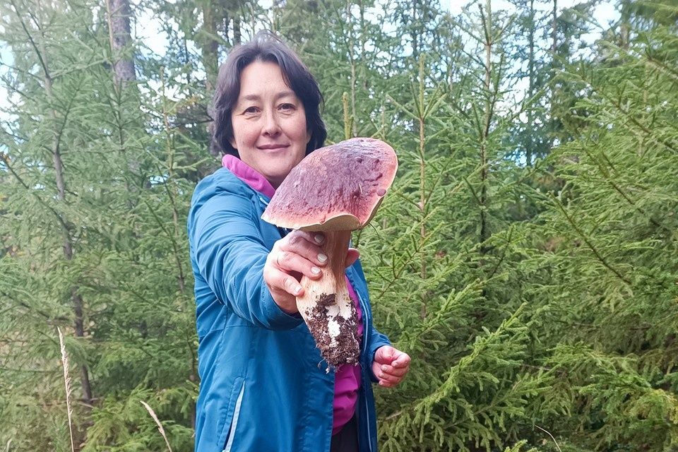 �� ����� ������ ����� ���������� ������: ���������� ����� � ������