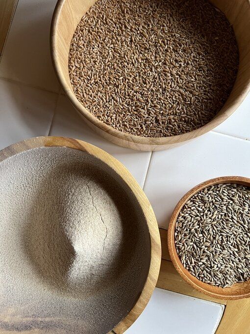 �������� ����: ������� �������� ����� ��� ��������