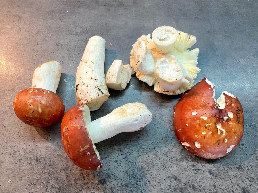 �������� ������� ��������: ��� ��������� �� �����������