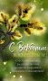 Нас встречает весна: пора праздников и обновления