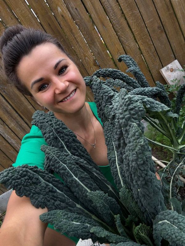 ���������: ������ �������� � ������������ ���������